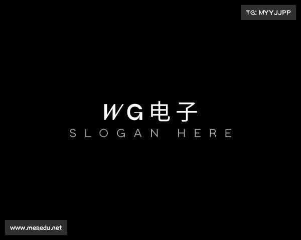 介绍WG电子
